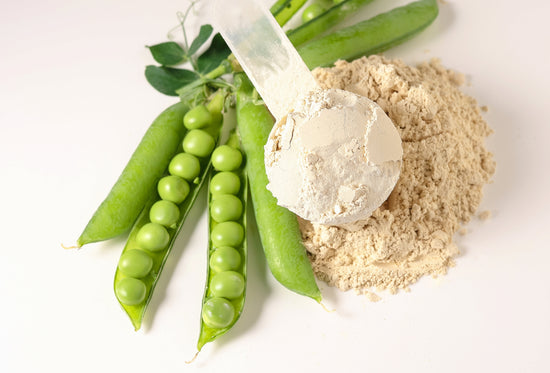 Pea Protein